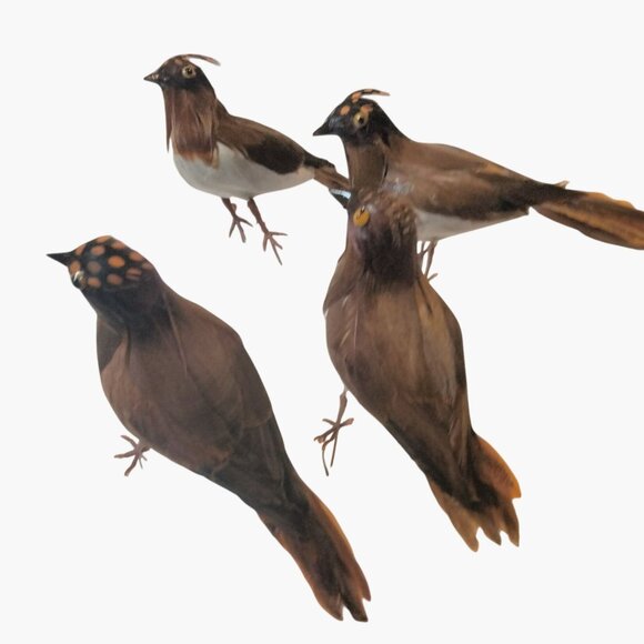 Other - Decorative Tufted Birds Brown Orange Feathers Realistic Craft Display Lot 4